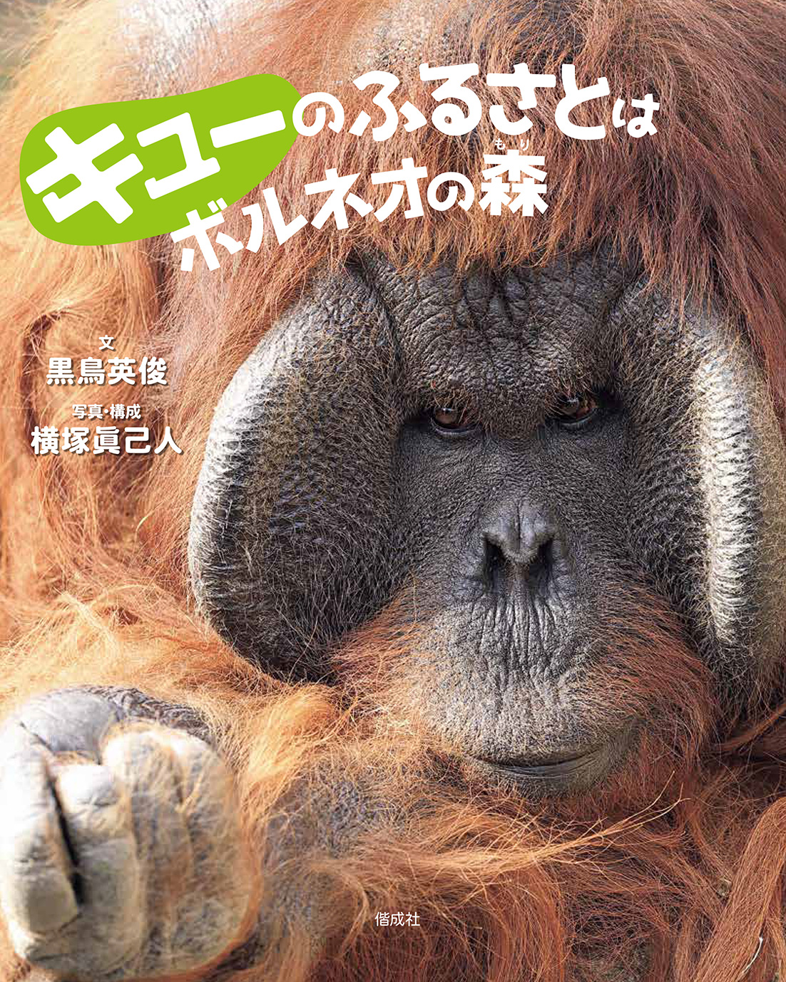 『キューのふるさとはボルネオの森』のリリースを配信しました